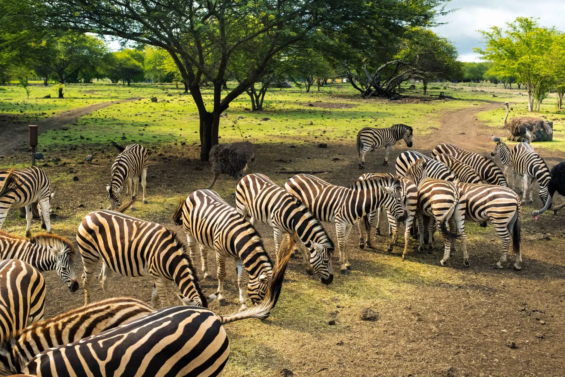Discover the Beauty of Africa